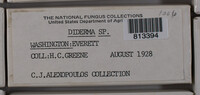 Image Associated With the Occurence